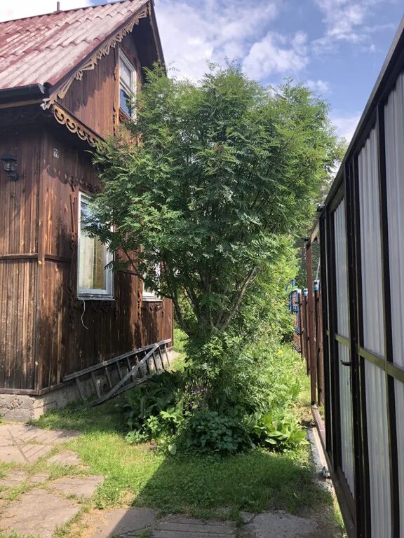 Дача малый кускун. Кускун красноярск. Погода в малой кускунке красноярский. Большой кускун. Погода в малой кускунке красноярский.