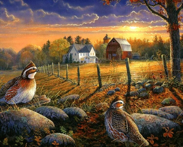 Художник Тимм Сэм (Timm Sam). Sam Timm американский художник. Пейзаж с птицами. Осенний деревенский пейзаж.