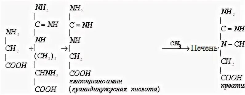 Радикал серина