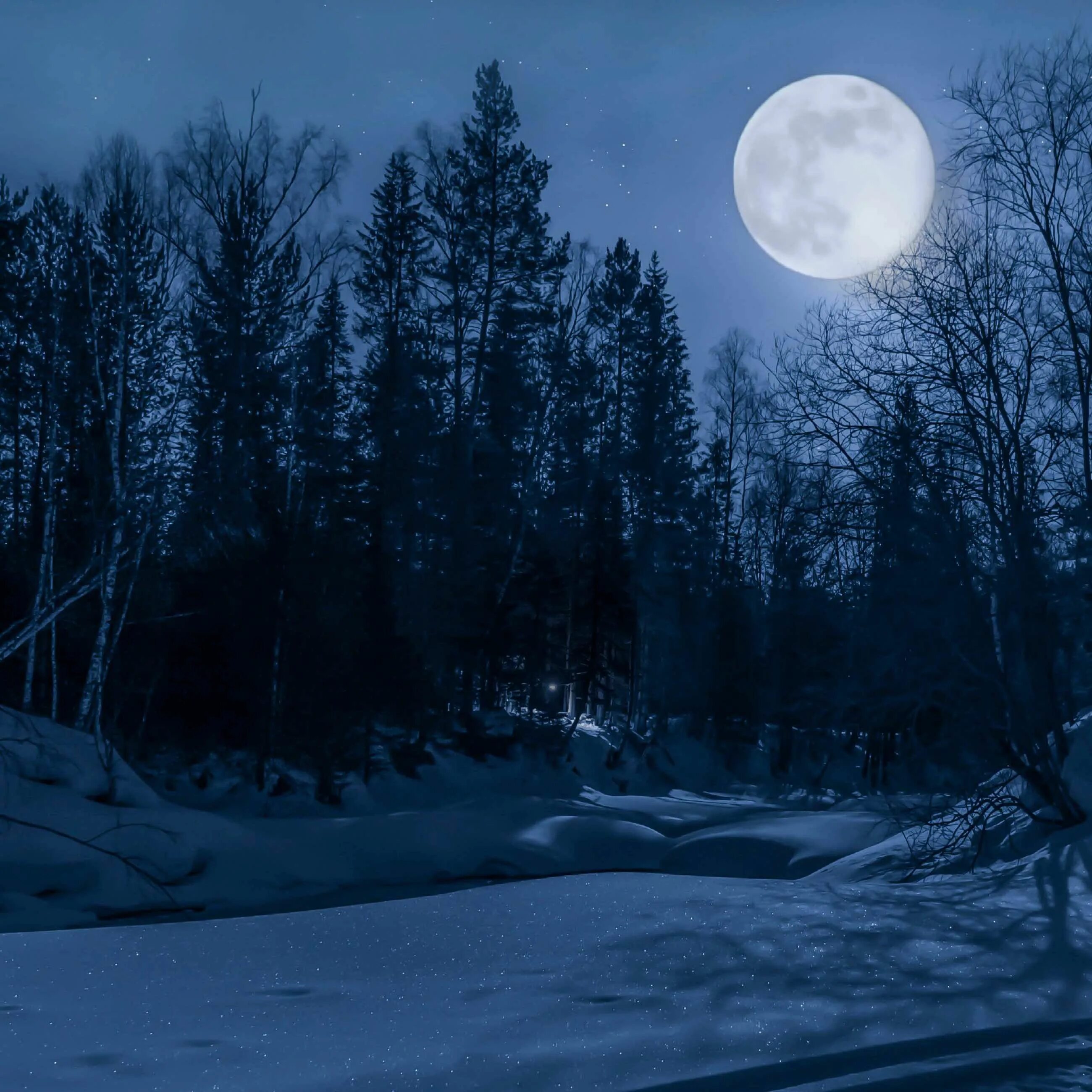 Луна зимой ночью. Луна снег. Зима Луна. Зимний ночной пейзаж. Полнолуние зима.