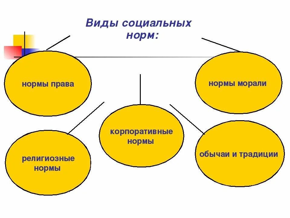 Назовите известные вам виды социальных норм. Формы социальных норм. ВИДФУН социальных норм. Виды социальных норм. Социальнаые норма виды.