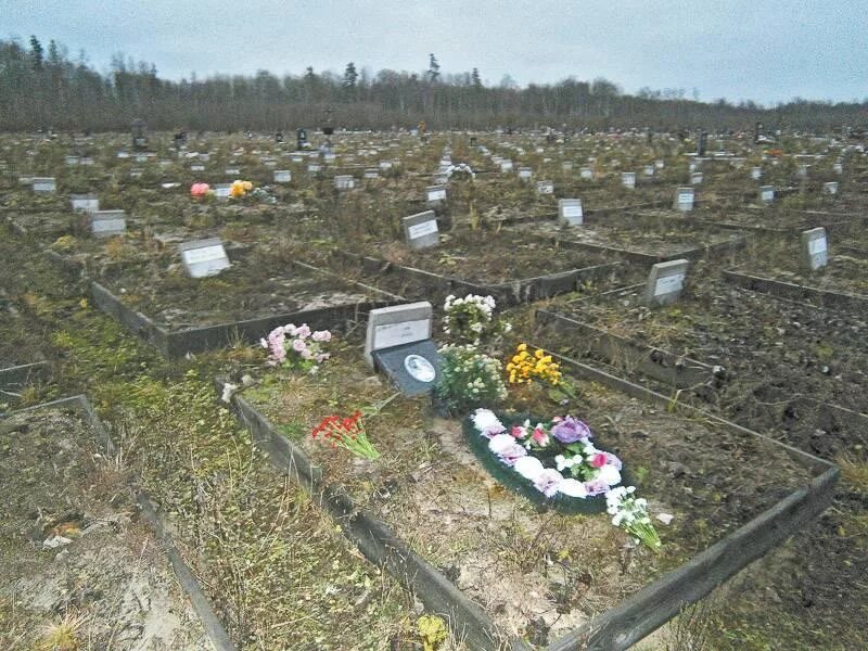 ЯСТРЕБКОВСКОЕ кладбище Звенигород. ЯСТРЕБКОВСКОЕ кладбище сейчас. Колпино кладбище безымянные могилы. Памятник на ЯСТРЕБКОВСКОЕ кладбище.