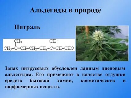 Альдегиды презентация
