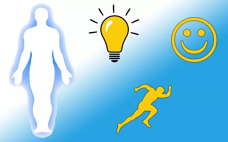 Эмоциональный ритм. Физический биоритм. Физический эмоциональный биоритм. Физический биоритм человека. Роль биоритмов в жизнедеятельности человека.