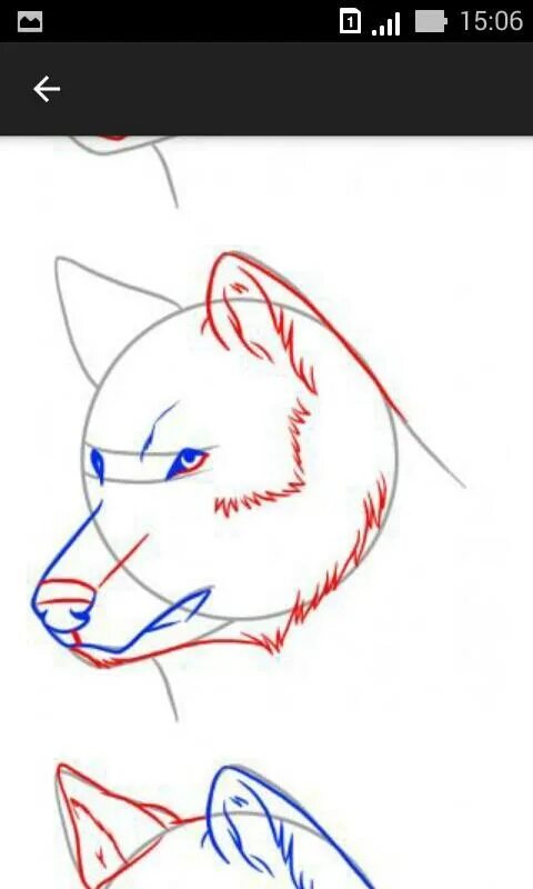 How to wolf