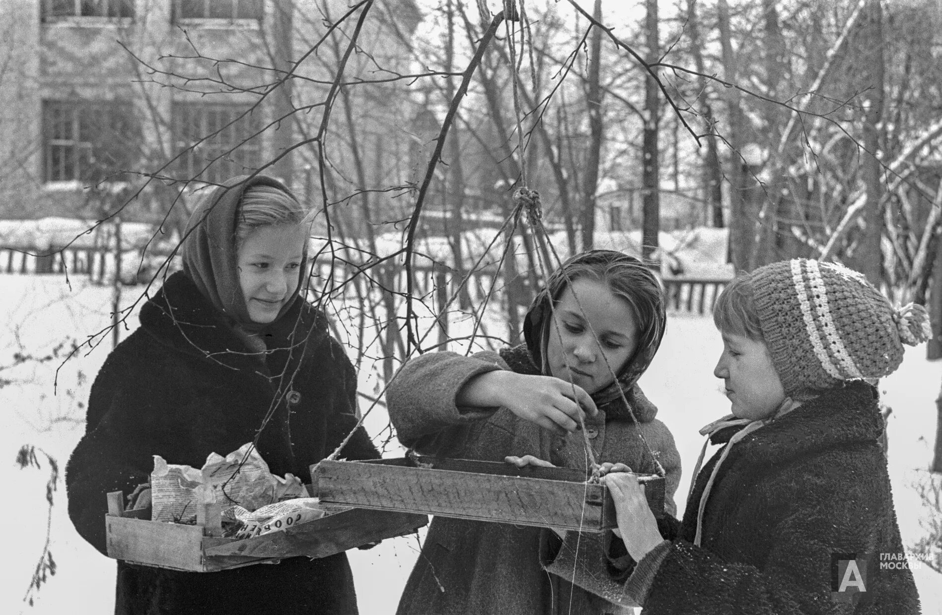 Молодая первый. Юннаты блокады Ленинграда. Станция юных любителей природы. Юный натуралист СССР. Юннаты СССР.