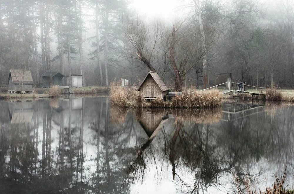 Abandoned village. Заброшенная деревня на болоте. Деревня Сидозеро Ленинградская область. Заброшенная деревня Сидозеро. Деревня Рыбацкая на болоте.