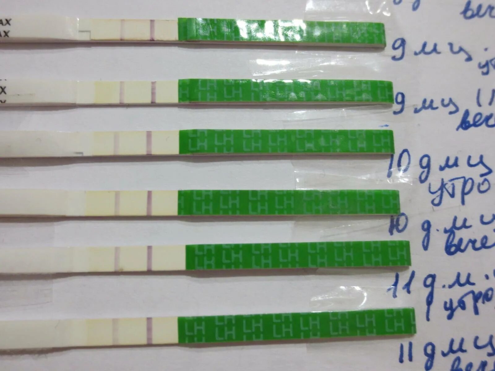 Нет беременности и нет овуляции. Как понять есть ли овуляция. Как понять есть ли овуляция. Какопределитт овуляцию. Как понять есть ли овуляция.