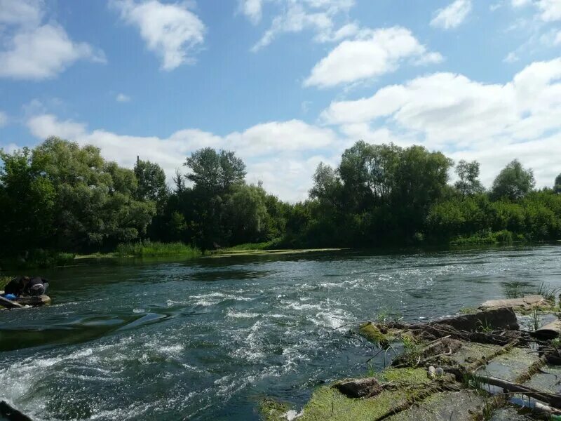 Похвистнево река кинель. Похвистнево река кинель. Река кинель в самарской области на карте. Река кинель на карте. Большой кинель реки самарской.