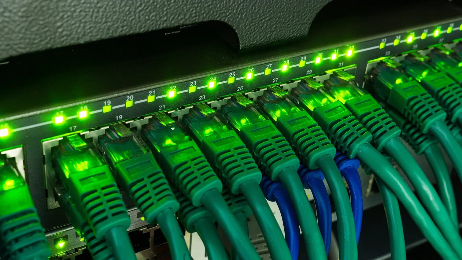 Зеленый ethernet что это. Сервер зеленый. зеленый провод. зеленые провода для пк. зеленая коммутация.