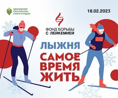 Фонд одинцово