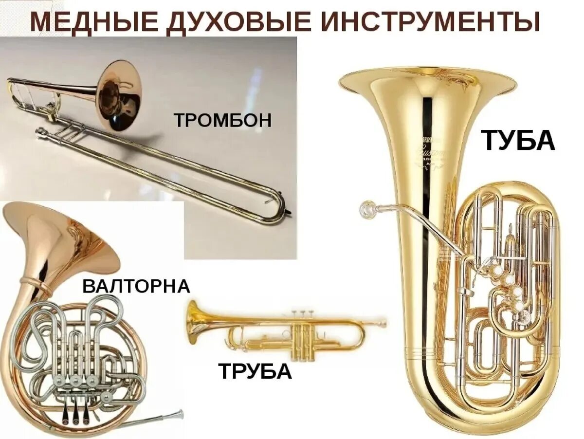 Медные духовые инструменты тромбон валторна труба туба. Медные духовые инструменты тромбон валторна труба туба. Группа медных духовых инструментов симфонического оркестра. Медные духовые инструменты симфонического оркестра. Медные духовые инструменты - труба, труба, тромбон, валторна.