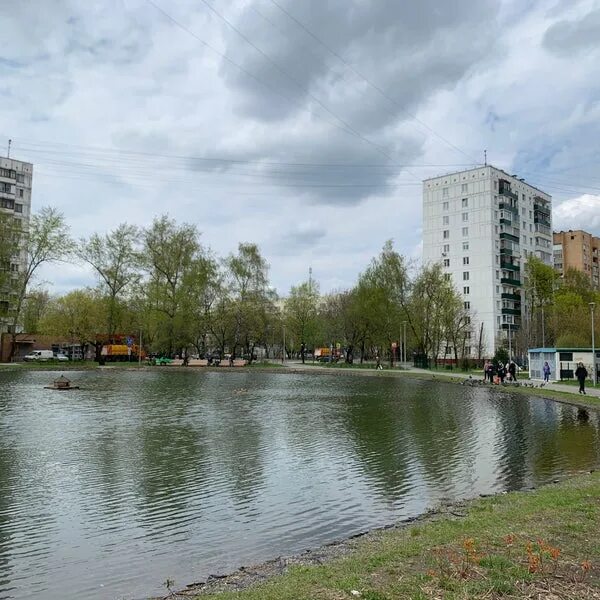 Кошачий пруд новогиреево. Вода новогиреево. Вода новогиреево. Пруд на улице победы екатеринбург. Парк воронцовские пруды усадьба.