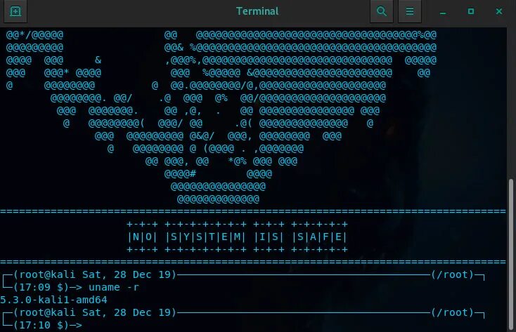Php uname. Uname -a. uname linux. uname -v linux команда. uname дата.