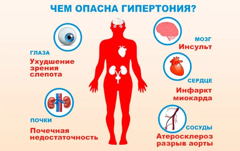 Описание гипертонии. Гипертоническая болезнь. Чем опасна гипертония. Осложнения гипертонической болезни. Повышение артериального давления.