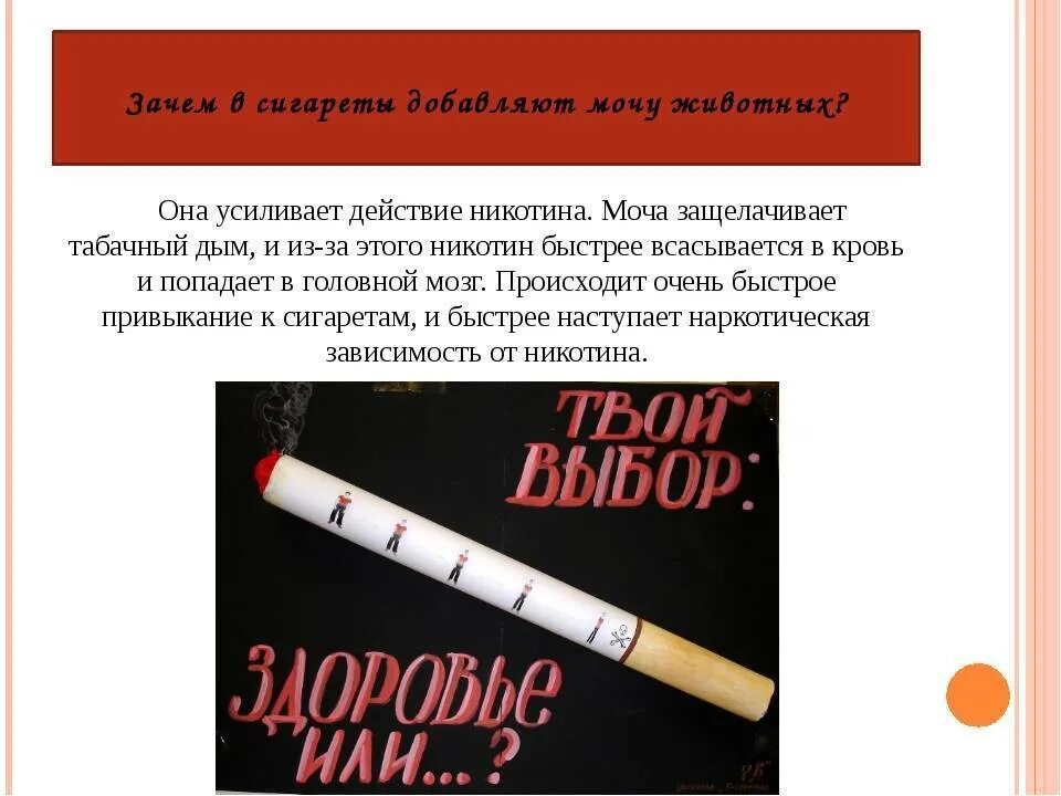 Профилактика табакокурения. Профилактика от никотина. Профилактика курения сигарет. Что будет если съесть сигарету