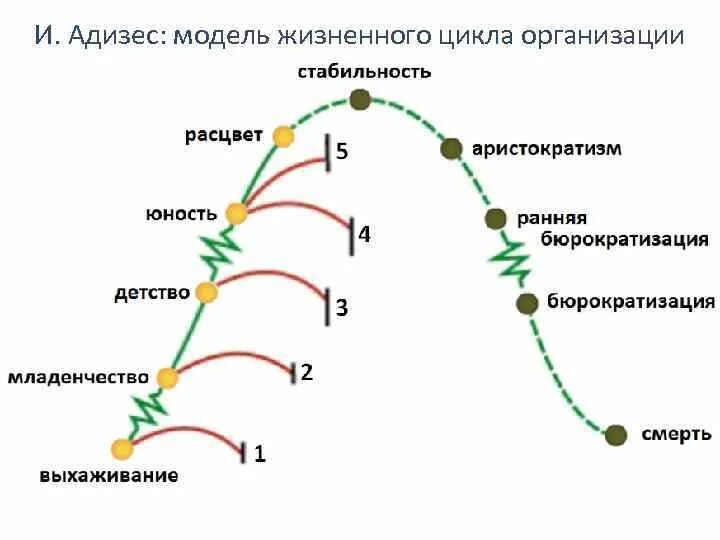 Адизес управление жизненным. Жизненный цикл организации Адизеса. Жизненный цикл предприятия модели Адизес. Жизненный цикл Адизеса схема. Модель ЖЦО Адизеса.