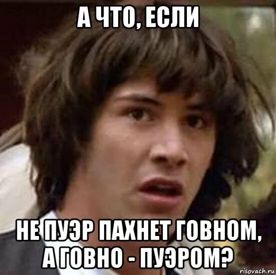 Запах какашки это знает каждый даже слоненок. Пусть в вашем доме всегда пахнет говном Мем. Мемы про пуэр. Пускай в вашем доме всегда пахнет говном. Пусть в вашем доме всегда пахнет г.