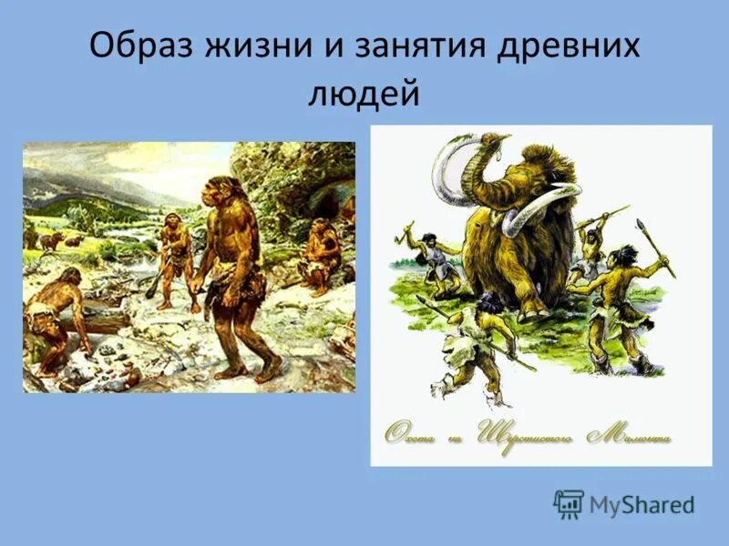 История жизни древнего человека