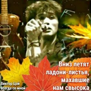 Цой песни сказка