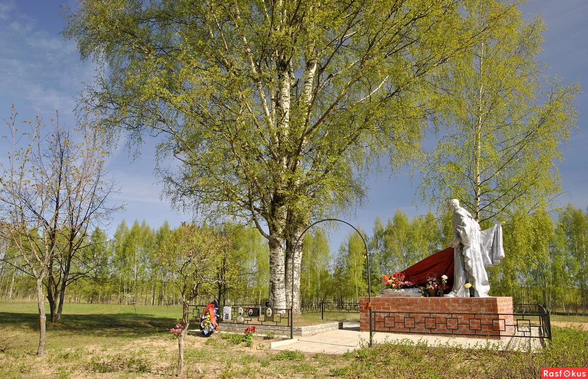 Под березами лежат. Художник обозненко соловьиная ночь. Спросите вы у тех солдат что под берёзами лежат. Береза над могилой. Кандык сибирский подснежники.