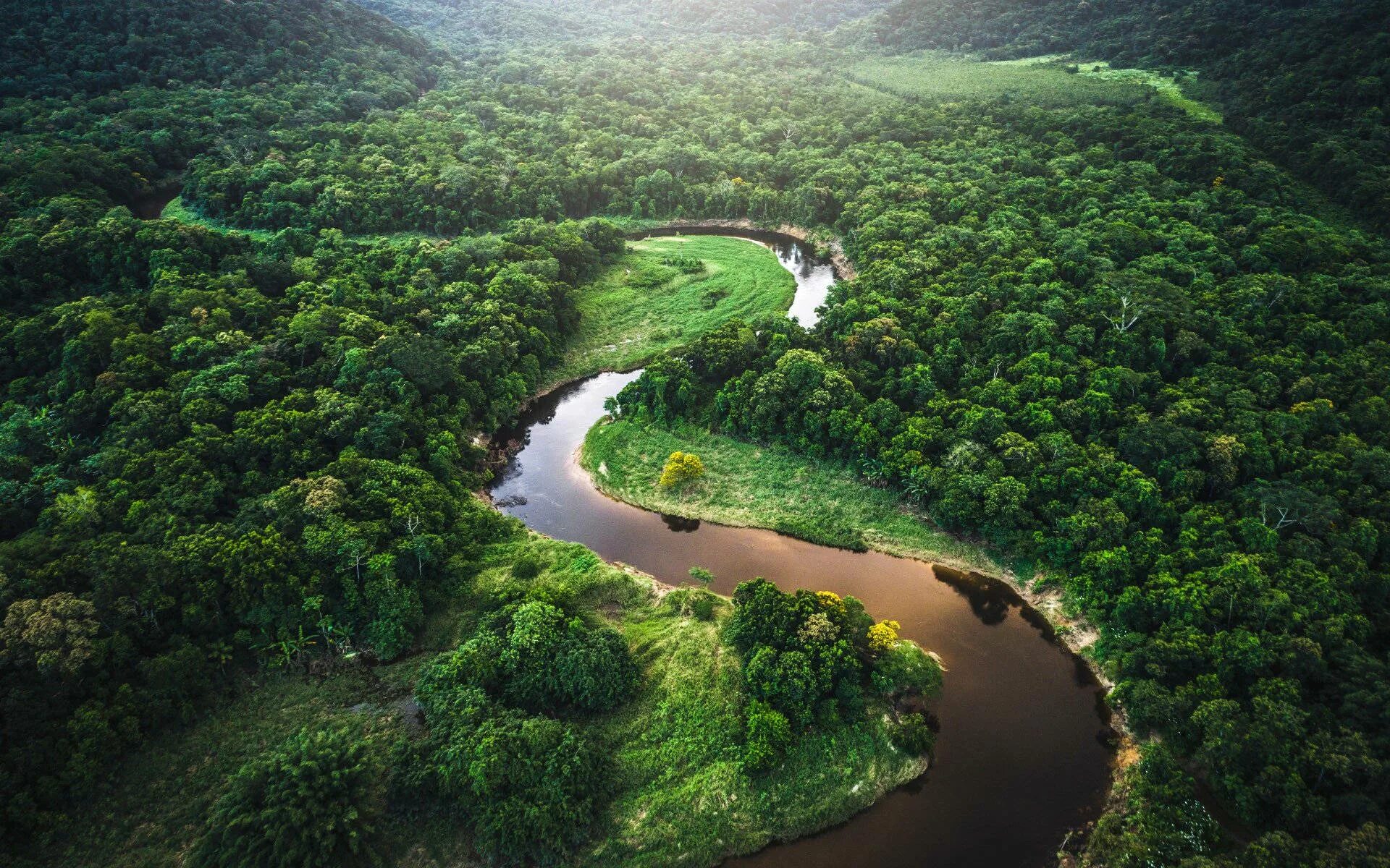 Jungle river