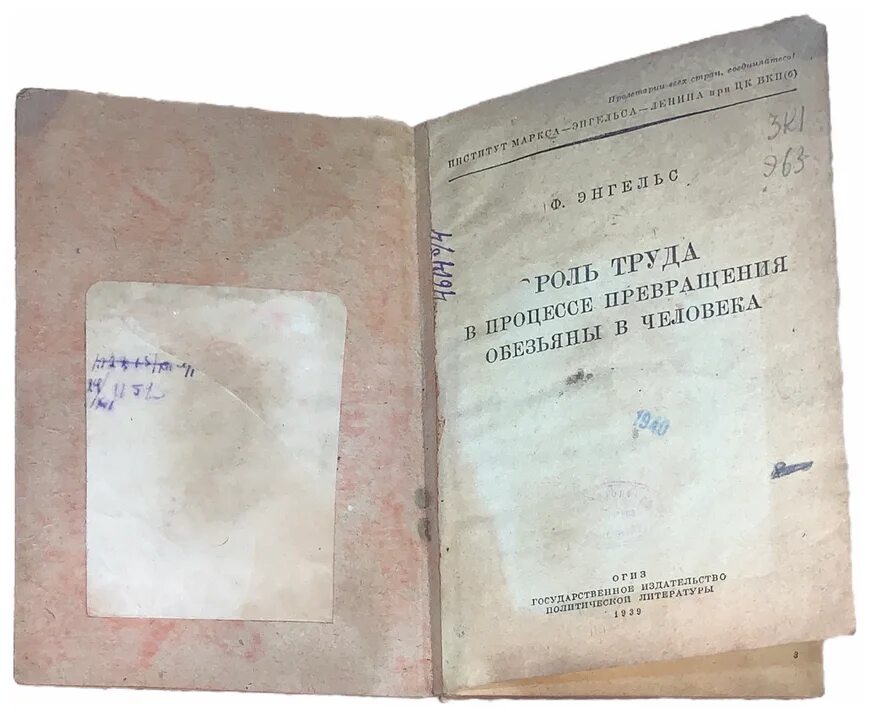 роль труда в процессе превращения обезьяны