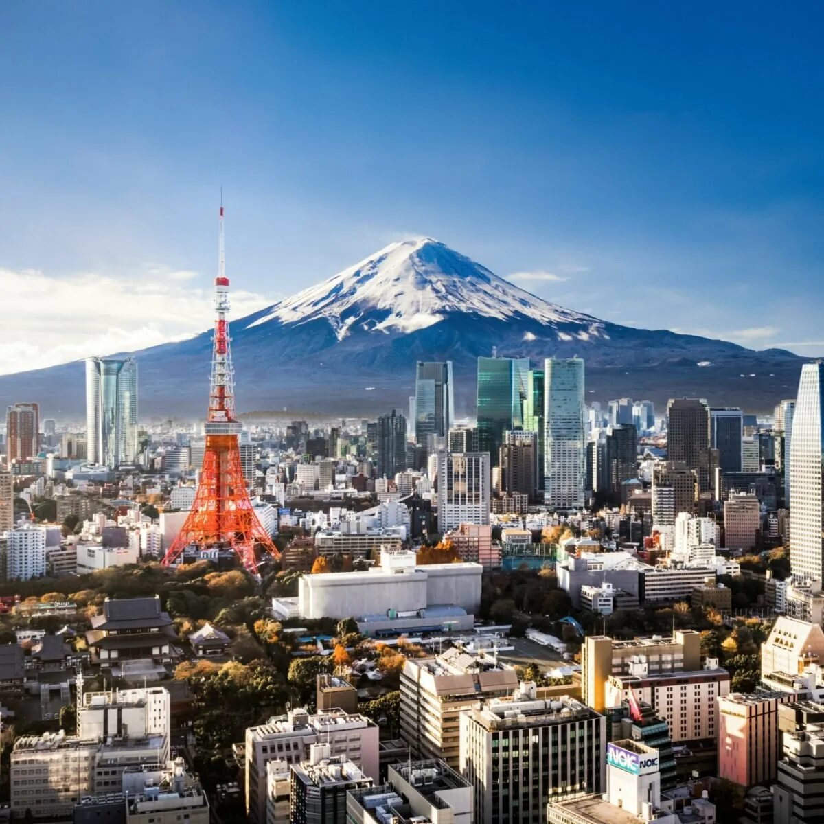 Япония крупнейший в мире. Япония Токио. Префектура Токио. Токио столица. Токио Йокогама численность населения.
