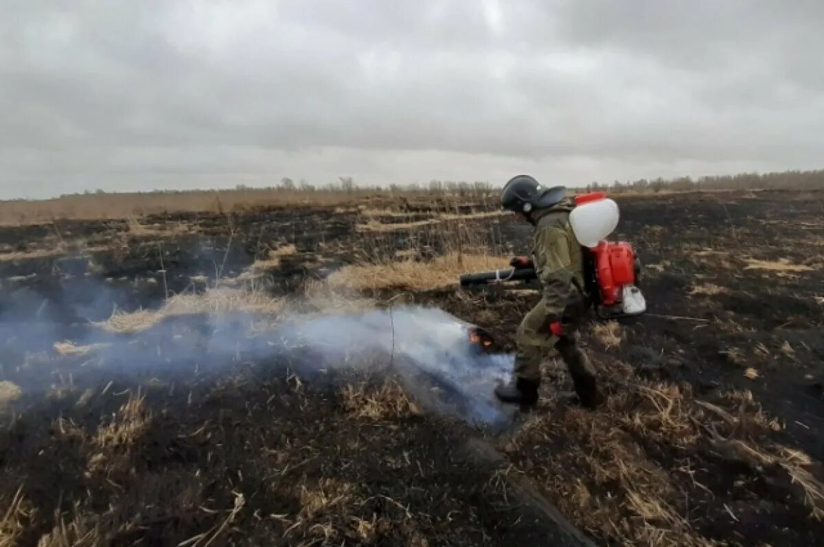 Действуй в югре. Пожар в Ханты Мансийске. Лесные пожары Югра. Лесные пожары в Ханты Мансийске. Пожарные тушат пожар.