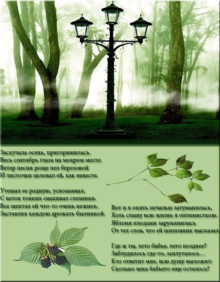 Глаза на мокром месте предложение. Глаза на мокром месте предложение