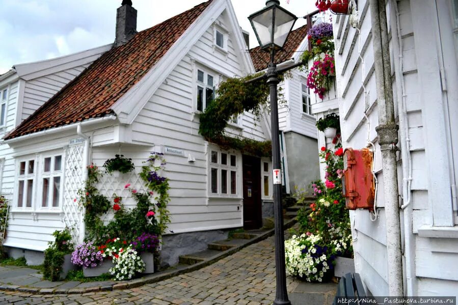 Цветы норвегии. Ставангер Норвегия улицы. Дома в Ставангере Норвегия. Норвегия улицы архитектура. Красивый белый домик в Норвегии.