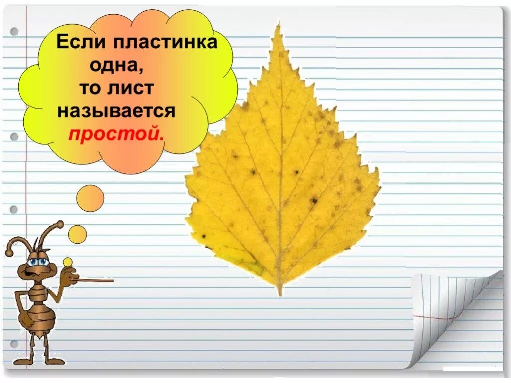 1 лист 1 урок 1 тема. Урок что это за листья. окружающий мир листья. тема листья. листья урок окружающего мира.