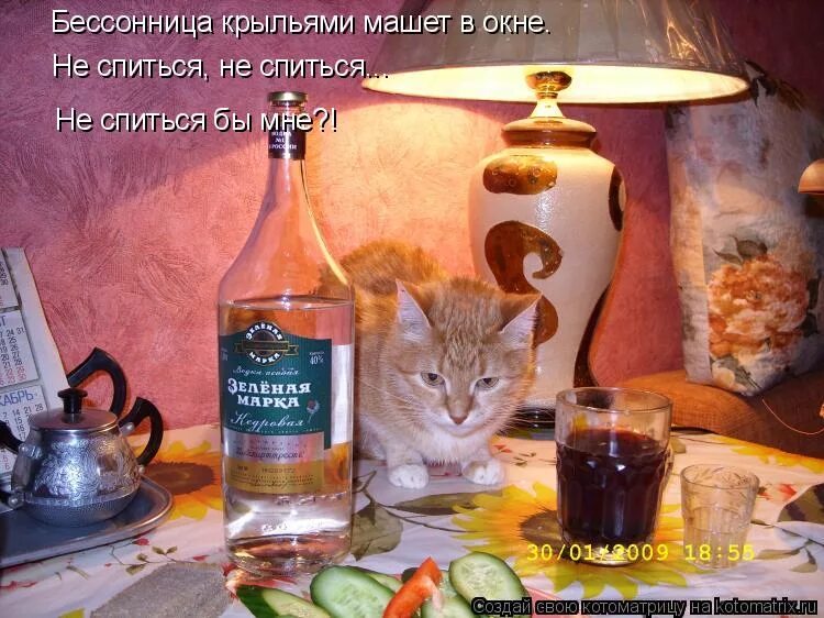 Фото чтобы уснуть. Кому не спится. Позы для сна при бессоннице. Спокойной ночи котоматрица. Не спится не спится не спится бы мне стихи.