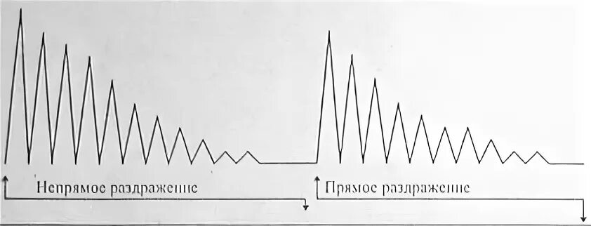 Непрямое раздражение. Локализация утомления в нервно-мышечном препарате. локализация утомления в нервно-мышечном препарате физиология. прямое и непрямое сокращение мышцы. кривая утомления в нервно-мышечном препарате.