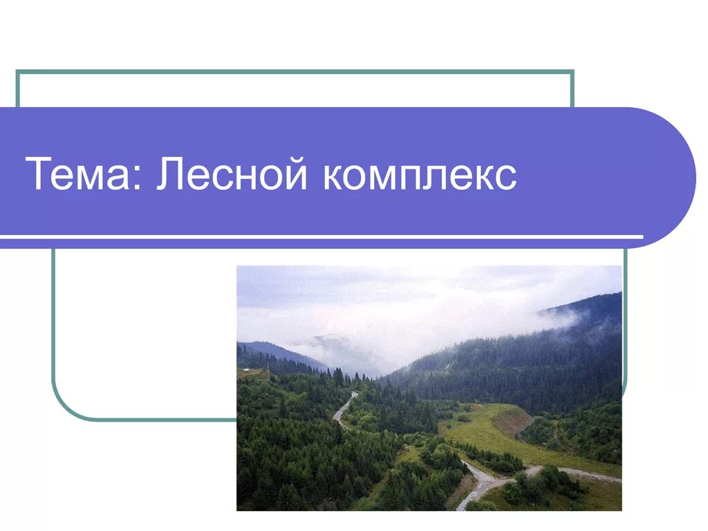 Лесной комплекс презентация. Лесной комплекс 9 класс география. Лесной комплекс 9 класс география презентация. Значение химико лесного комплекса.