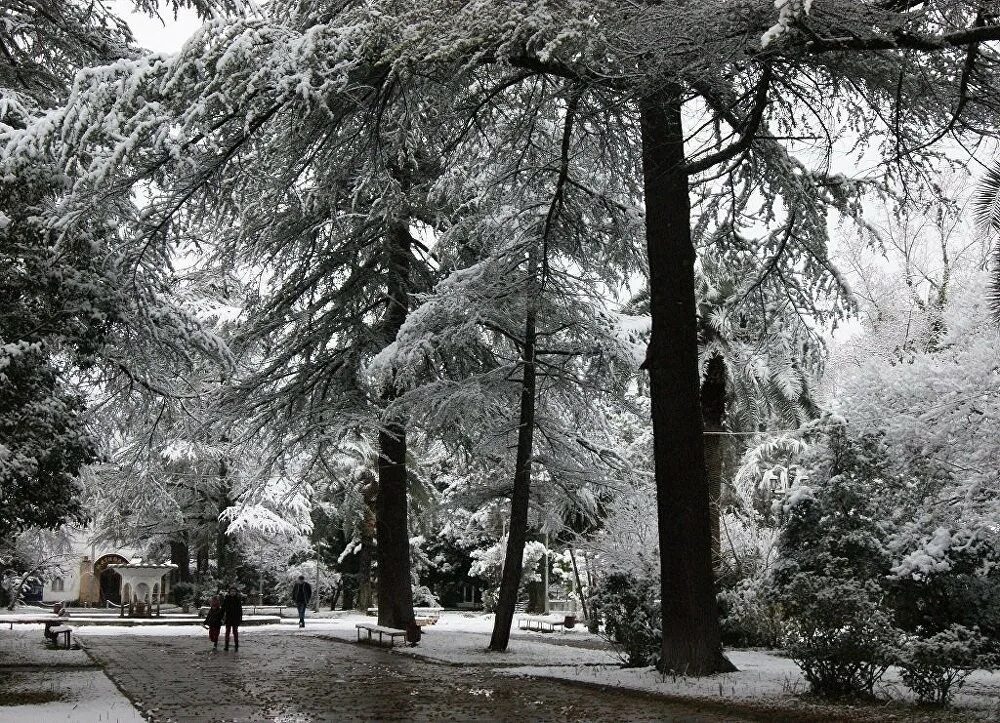 Абхазия погода на неделю сухуми. Абхазия Сухум зима. Абхазия Сухум зимой. Зима в Абхазии 2022. Новогодняя Абхазия Гагра Сухум.