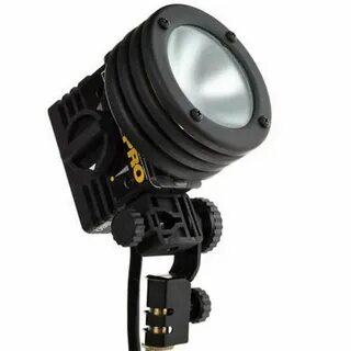Professional light