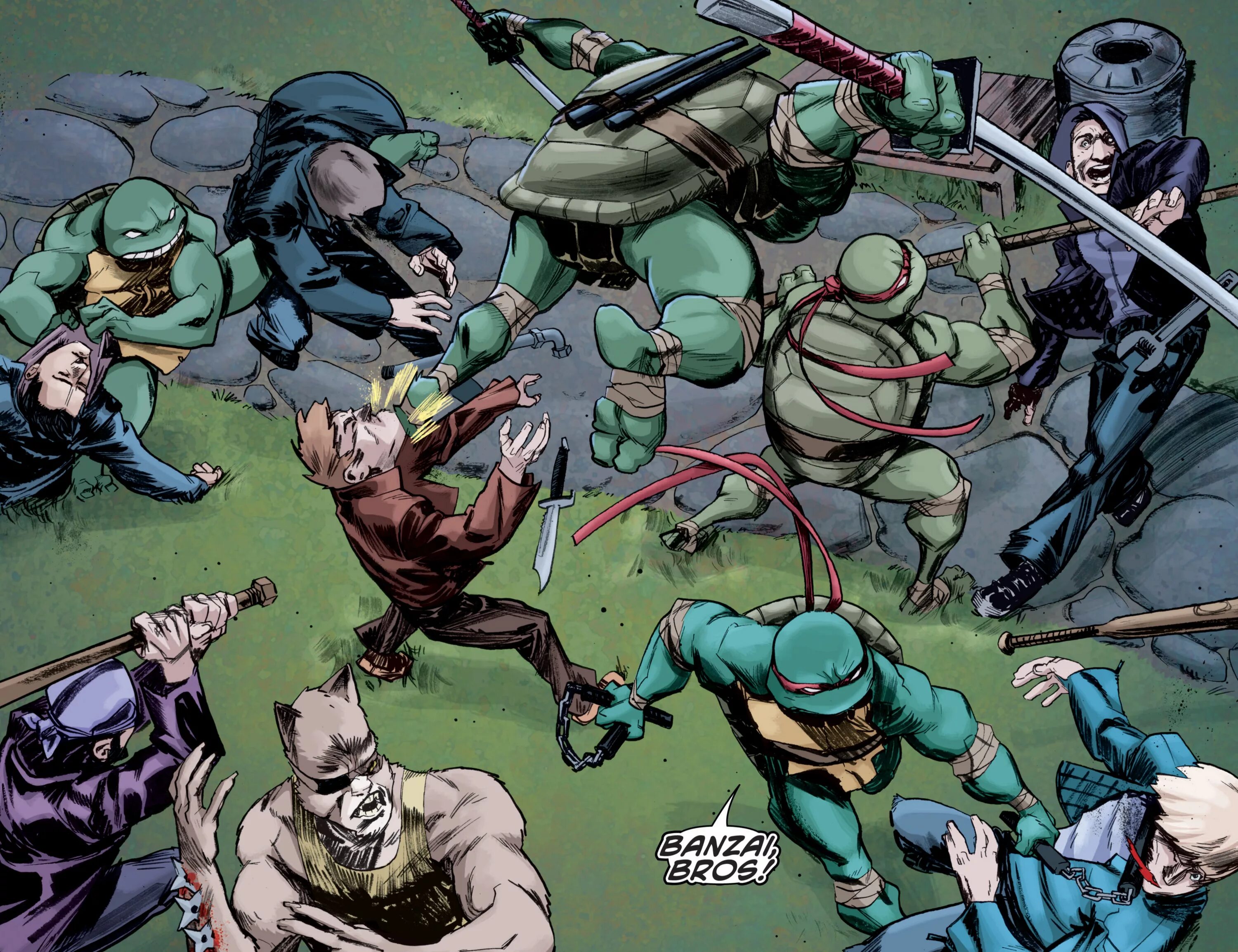 Черепашки ниндзя IDW. Черепашки-ниндзя комиксы IDW. Комиксы TMNT IDW. TMNT IDW 2011. Tmnt 4