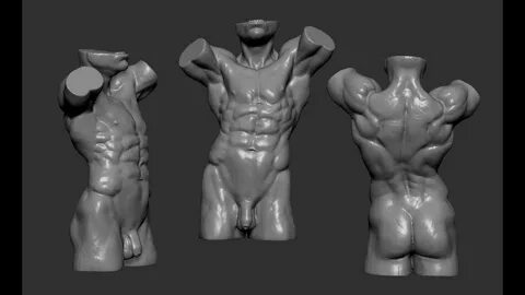 3d, zbrush, digital, anatomy, sculpting, timelapse, male, muscle.