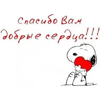 Спасибо за то что вы мне помогли