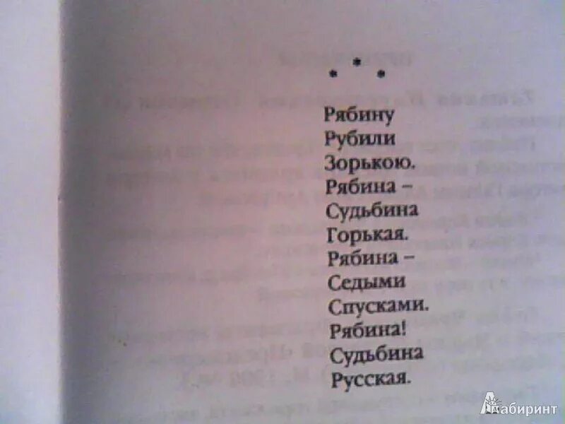 Анализ стихотворения рябину рубили зорькою цветаева. Рябину рубили зорькою цветаева. Семь холмов цветаева. Рябину рубили цветаева. Рябину рубили.