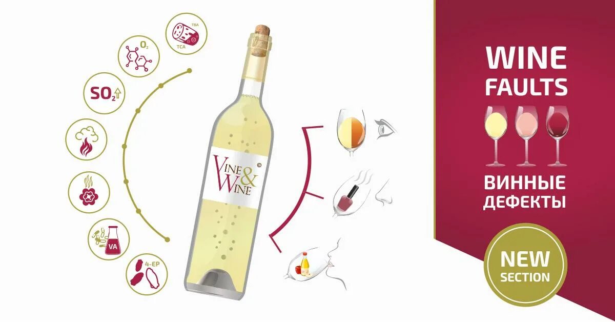 вино с черепом на этикетке. Wine vine. минеральная вода эсенсес. Wine wine краснодар. вывеска для винодельни.