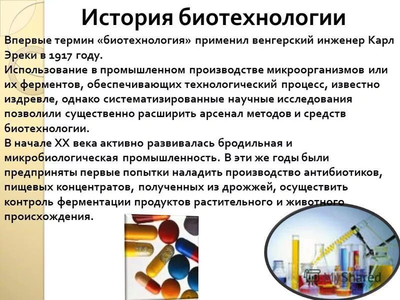 История биотехнологии. История развития биотехнологии. Этапы развития биотехнологии. Достижения биотехнологии.