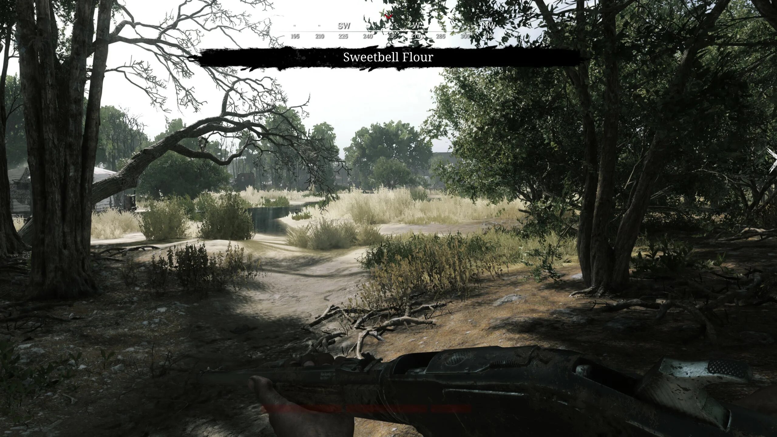 Лулу Hunt Showdown. Hunt Showdown пейзажи. Hunt Showdown знаки предупреждения. Here either