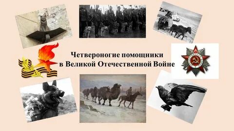 Какие животные помогали