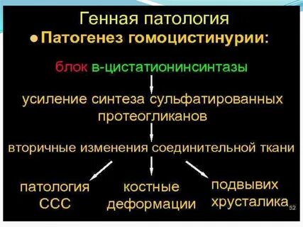 Патология 1