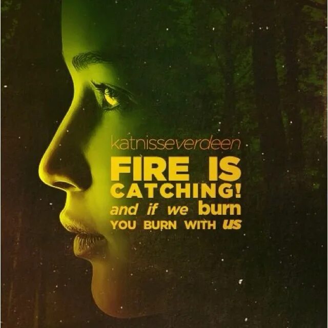 Fire catcher. Голодные игры и вспыхнет пламя. The hunger games catching fire book. Голодные игры арты карандашом. Remember that you are fire.
