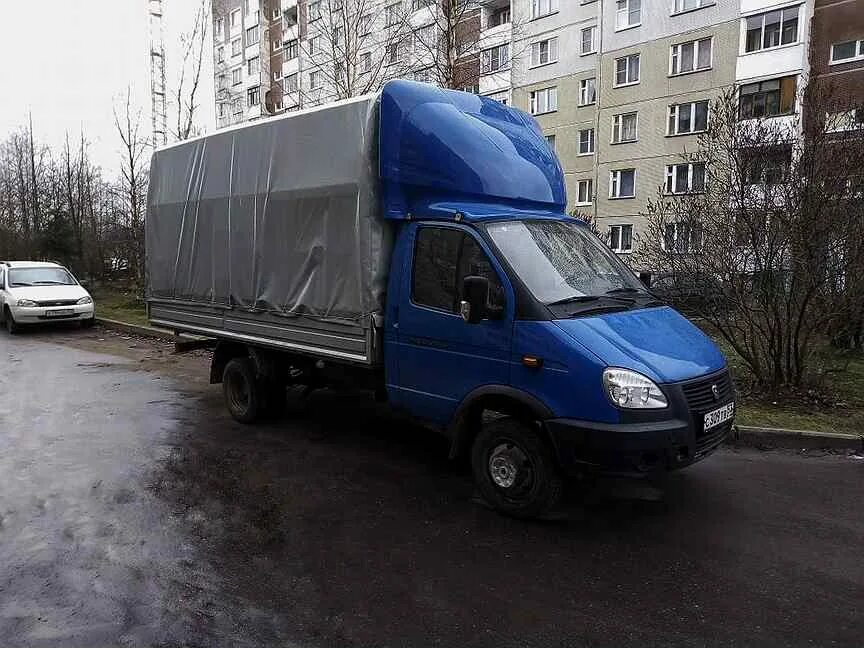 Б у газели в новгороде. Газель Великий Новгород. Газелька Великий Новгород. Грузоперевозки Великий Новгород Газель. Грузовой Великий Новгород.