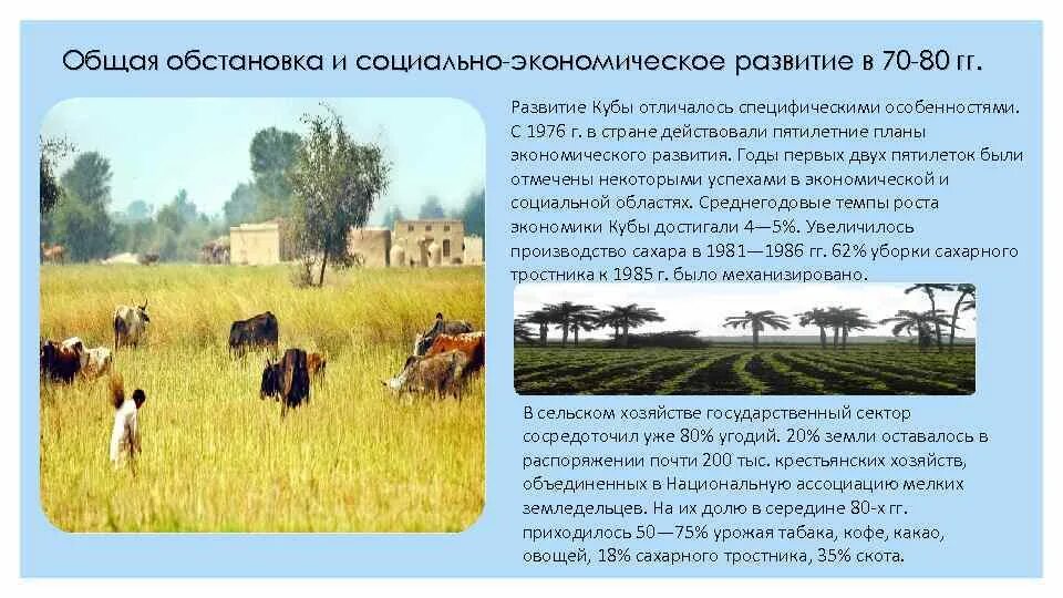Результаты 20 века. Результаты 20 века