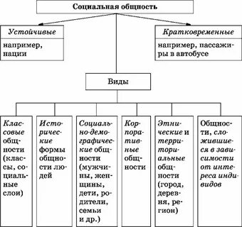 Социальная группа основная форма социальных общностей